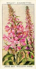 1936 Wills's Wild Flowers #49 Rose-Bay Willow-Herb Front