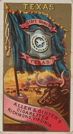 1888 Allen & Ginter Flags of States & Territory (N11) #NNO Texas Front