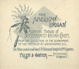1888 Allen & Ginter The American Indian (N36) #NNO Agate Arrow Point Back