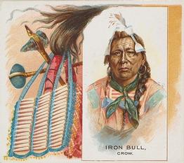 1888 Allen & Ginter The American Indian (N36) #NNO Iron Bull Front
