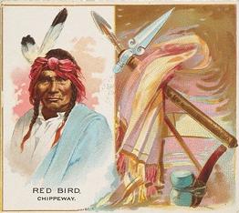 1888 Allen & Ginter The American Indian (N36) #NNO Red Bird Front