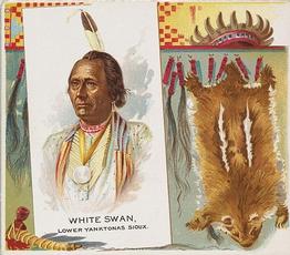 1888 Allen & Ginter The American Indian (N36) #NNO White Swan Front