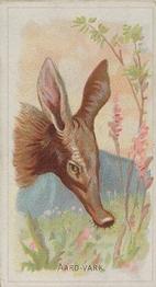 1888 Allen & Ginter Wild Animals of the World (N25) #NNO Aard-Vark Front