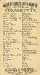 1888 Allen & Ginter Wild Animals of the World (N25) #NNO American Wild Cat Back
