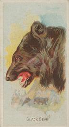 1888 Allen & Ginter Wild Animals of the World (N25) #NNO Black Bear Front