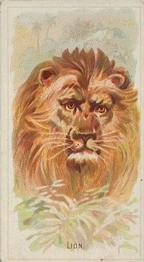 1888 Allen & Ginter Wild Animals of the World (N25) #NNO Lion Front
