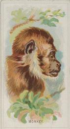 1888 Allen & Ginter Wild Animals of the World (N25) #NNO Monkey Front