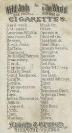 1888 Allen & Ginter Wild Animals of the World (N25) #NNO Polar Bear Back