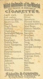 1888 Allen & Ginter Wild Animals of the World (N25) #NNO Tasmanian Devil Back
