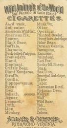 1888 Allen & Ginter Wild Animals of the World (N25) #NNO Wild Boar Back