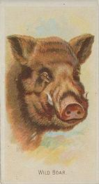 1888 Allen & Ginter Wild Animals of the World (N25) #NNO Wild Boar Front