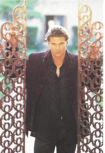 1999 Inkworks Buffy the Vampire Slayer Photo Cards #21 Angel Front