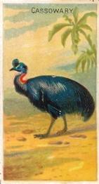 1889 Allen & Ginter Birds of the Tropics (N5) #NNO Cassowary Front