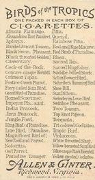 1889 Allen & Ginter Birds of the Tropics (N5) #NNO Crimson Topaz Back