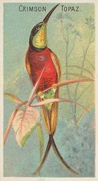 1889 Allen & Ginter Birds of the Tropics (N5) #NNO Crimson Topaz Front