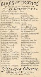 1889 Allen & Ginter Birds of the Tropics (N5) #NNO Shoe-Bill Back