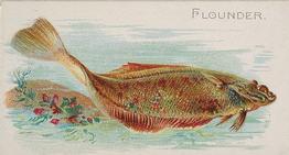 1889 Allen & Ginter 50 Fish from American Waters (N8) #NNO Flounder Front