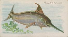 1889 Allen & Ginter 50 Fish from American Waters (N8) #NNO Swordfish Front