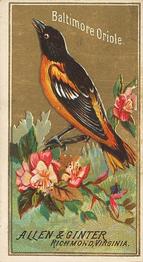 1888 Allen & Ginter Birds of America (N4) #NNO Baltimore Oriole Front
