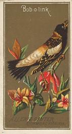 1888 Allen & Ginter Birds of America (N4) #NNO Bob-O-Link Front