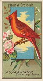 1888 Allen & Ginter Birds of America (N4) #NNO Cardinal Grosbeak Front