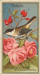 1888 Allen & Ginter Birds of America (N4) #NNO Chickadee Front