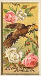 1888 Allen & Ginter Birds of America (N4) #NNO Cuckoo Front