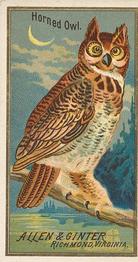 1888 Allen & Ginter Birds of America (N4) #NNO Horned Owl Front