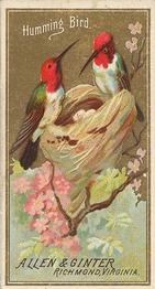 1888 Allen & Ginter Birds of America (N4) #NNO Humming Bird Front