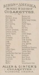 1888 Allen & Ginter Birds of America (N4) #NNO Mother Carey's Chicken Back