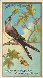 1888 Allen & Ginter Birds of America (N4) #NNO Swallow-Tailed Flycatcher Front