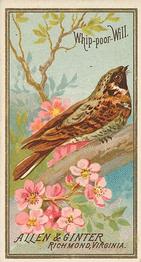 1888 Allen & Ginter Birds of America (N4) #NNO Whip-Poor-Will Front