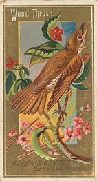 1888 Allen & Ginter Birds of America (N4) #NNO Wood Thrush Front