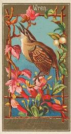 1888 Allen & Ginter Birds of America (N4) #NNO Wren Front