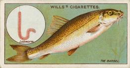 1910 Wills's Cigarettes Fish & Bait #2 Barbel Front