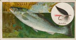 1910 Wills's Cigarettes Fish & Bait #3 Sea Trout Front
