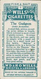 1910 Wills's Cigarettes Fish & Bait #5 Gudgeon Back