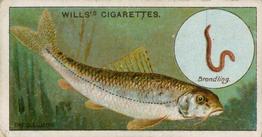 1910 Wills's Cigarettes Fish & Bait #5 Gudgeon Front