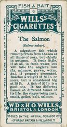 1910 Wills's Cigarettes Fish & Bait #6 Salmon Back