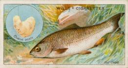 1910 Wills's Cigarettes Fish & Bait #7 Chub Front