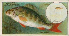 1910 Wills's Cigarettes Fish & Bait #9 Perch Front