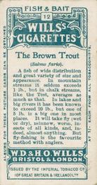 1910 Wills's Cigarettes Fish & Bait #12 Brown Trout Back