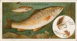 1910 Wills's Cigarettes Fish & Bait #12 Brown Trout Front