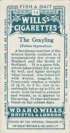 1910 Wills's Cigarettes Fish & Bait #14 Grayling Back