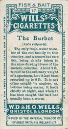 1910 Wills's Cigarettes Fish & Bait #17 Burbot Back