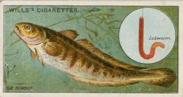1910 Wills's Cigarettes Fish & Bait #17 Burbot Front