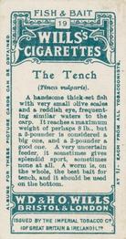 1910 Wills's Cigarettes Fish & Bait #19 Tench Back