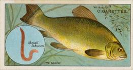 1910 Wills's Cigarettes Fish & Bait #19 Tench Front