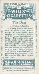 1910 Wills's Cigarettes Fish & Bait #21 Dace Back