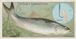 1910 Wills's Cigarettes Fish & Bait #23 Bleak Front